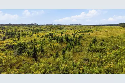 9.26Acre A Co Hwy 2A Road, Defuniak Springs, FL 32433 - Photo 5