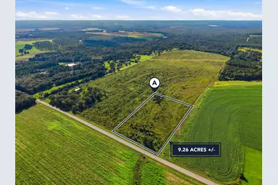 9.26Acre A Co Hwy 2A Road, Defuniak Springs, FL 32433 - Photo 1