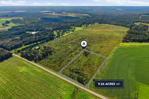 9 26Acre A Co Hwy 2A Rd, Defuniak Springs, FL 32433 - Photo 1