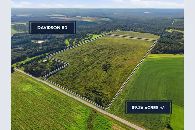 9.26Acre A Co Hwy 2A Road, Defuniak Springs, FL 32433 - Photo 13