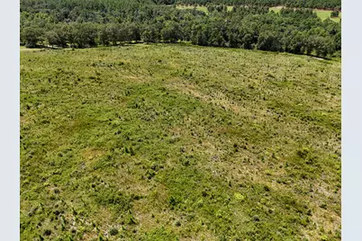 10 Acres B Co Hwy 2A Road, Defuniak Springs, FL 32433 - Photo 3