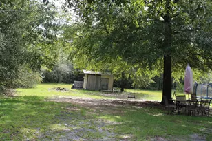 955 Martin Rd, Defuniak Springs, FL 32433 - Photo 5