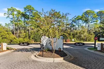 325 Ridgewalk Circle, Santa Rosa Beach, FL 32459 - Photo 39