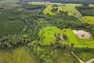 144 Icie Pine Rd Rd, Westville, FL 32464 - Photo 9