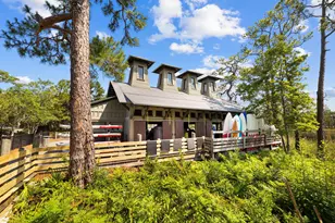 18 Lyonia Ln, Santa Rosa Beach, FL 32459 - Photo 47