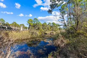 18 Lyonia Ln, Santa Rosa Beach, FL 32459 - Photo 43