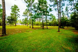 123 Beaver Dam Rd, Defuniak Springs, FL 32433 - Photo 51