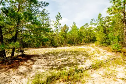 123 Beaver Dam Road, Defuniak Springs, FL 32433 - Photo 55