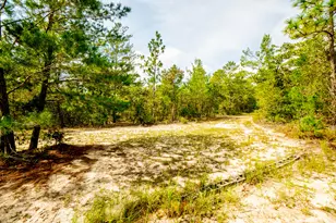 123 Beaver Dam Rd, Defuniak Springs, FL 32433 - Photo 55