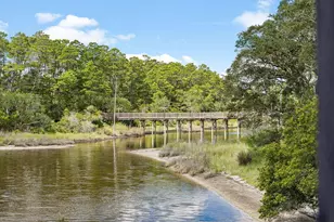 39 N Branch Rd, Santa Rosa Beach, FL 32459 - Photo 43