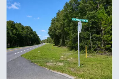 137 Joe Anderson Road, Defuniak Springs, FL 32433 - Photo 21