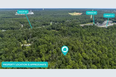Lot 8 Fl-8, Milton, FL 32570 - Photo 1