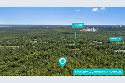 Lot 8 Fl-8, Milton, FL 32570 - Photo 9
