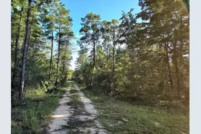 Tbd Randi Road, Crestview, FL 32539 - Photo 7