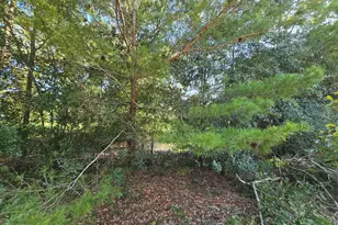 Tbd Randi Rd, Crestview, FL 32539 - Photo 1