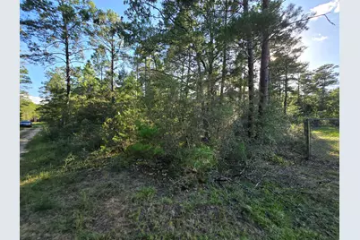 Tbd Randi Road, Crestview, FL 32539 - Photo 5