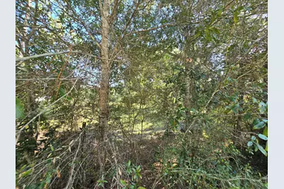 Tbd Randi Road, Crestview, FL 32539 - Photo 3