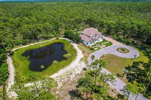 237 Royal Palm Blvd, Santa Rosa Beach, FL 32459 - Photo 97
