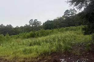 1950 Grady Baggett Rd, Baker, FL 32531 - Photo 1