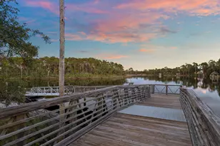 394 S Splash Dr, Watersound, FL 32461 - Photo 47