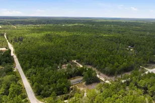 29 Canterbury Dr, Defuniak Springs, FL 32433 - Photo 61
