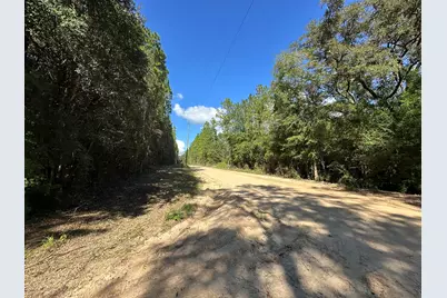 Tract#6421 Johnson Road, Caryville, FL 32425 - Photo 5