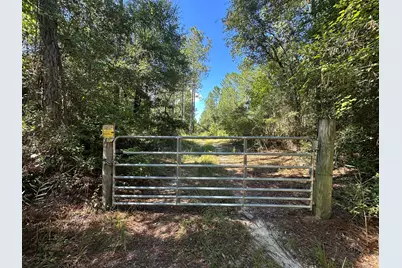 Tract#6421 Johnson Road, Caryville, FL 32425 - Photo 7