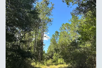 Tract#6421 Johnson Road, Caryville, FL 32425 - Photo 1