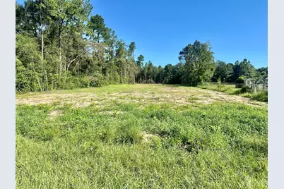 Tbd Vinson Ray Road, Baker, FL 32531 - Photo 1