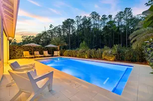 81 Anastasia Cir, Inlet Beach, FL 32461 - Photo 51