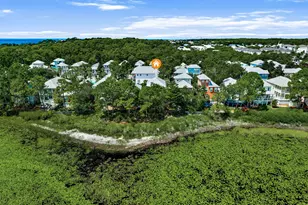 228 Hidden Lake Way, Santa Rosa Beach, FL 32459 - Photo 41