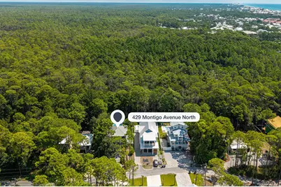 429 N Montigo Avenue, Santa Rosa Beach, FL 32459 - Photo 31