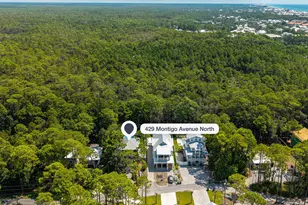 429 N Montigo Ave, Santa Rosa Beach, FL 32459 - Photo 31