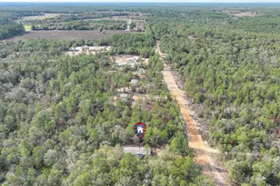 144 Lee Ann Ln, Defuniak Springs, FL 32433 - Photo 3