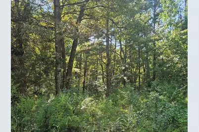 3853 Chicago Avenue, Laurel Hill, FL 32567 - Photo 7