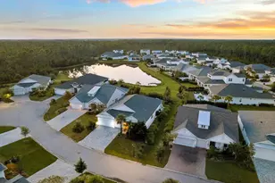 40 Tamoka Ct, Inlet Beach, FL 32461 - Photo 39