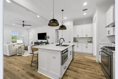 46 Green Heron Street, Inlet Beach, FL 32461 - Photo 9
