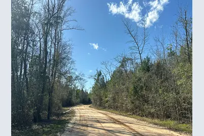 Tract#6317 N Harris Stevenson Road, Bonifay, FL 32425 - Photo 3