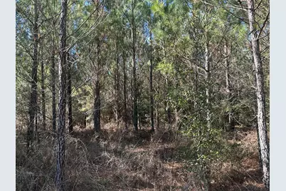 Tract#6317 N Harris Stevenson Road, Bonifay, FL 32425 - Photo 17