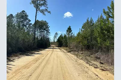 Tract#6317 N Harris Stevenson Road, Bonifay, FL 32425 - Photo 7