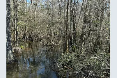 Tract#6317 N Harris Stevenson Road, Bonifay, FL 32425 - Photo 13
