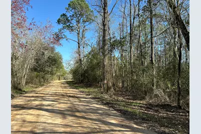 Tract#6317 N Harris Stevenson Road, Bonifay, FL 32425 - Photo 1