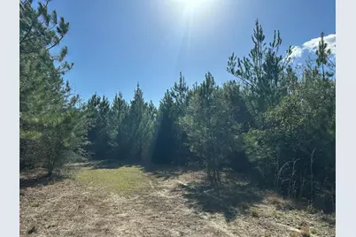 Tract#6317 N Harris Stevenson Road, Bonifay, FL 32425 - Photo 5