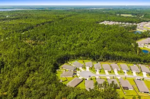 36 Cozy Cv, Freeport, FL 32439 - Photo 65