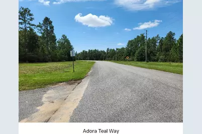 Tbd John Givens Road, Crestview, FL 32539 - Photo 11