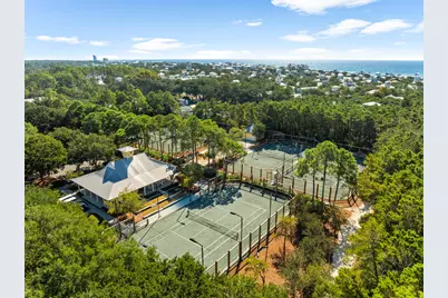 367 E Royal Fern Way, Santa Rosa Beach, FL 32459 - Photo 43