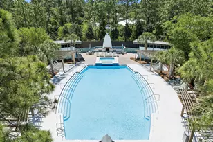 367 East Royal Fern Way, Santa Rosa Beach, FL 32459 - Photo 39
