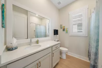 93 Orman Court, Inlet Beach, FL 32461 - Photo 47