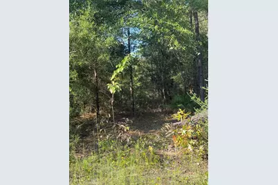 Tbd W Fernwood Court, Defuniak Springs, FL 32433 - Photo 5