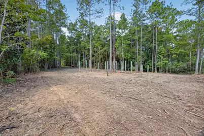 1.087 Acre Co Hwy 3280, Freeport, FL 32439 - Photo 7